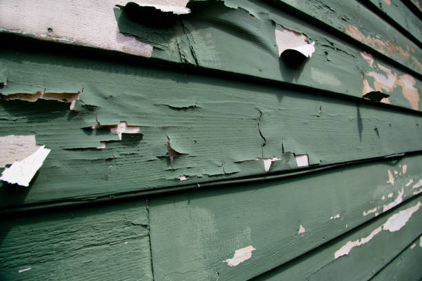 Best Dumpster Rental Services  in Apex, NC